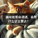 猫咪如果会说话,会用什么语言表达?(图4) 猫咪如果会说话,会用什么语言表达?(图4)