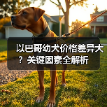 以巴哥幼犬价格差异大?关键因素全解析(图3) 以巴哥幼犬价格差异大?关键因素全解析(图3)