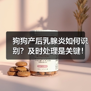 狗狗产后乳腺炎如何识别?及时处理是关键!(图3) 狗狗产后乳腺炎如何识别?及时处理是关键!(图2)