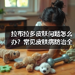拉布拉多皮肤问题怎么办?常见皮肤病防治全解析(图3) 拉布拉多皮肤问题怎么办?常见皮肤病防治全解析(图3)