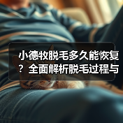 小德牧脱毛多久能恢复?全面解析脱毛过程与护理技巧(图2) 小德牧脱毛多久能恢复?全面解析脱毛过程与护理技巧(图2)