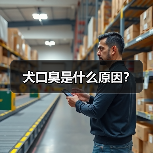 犬口臭是什么原因？(图1)
