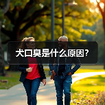 犬口臭是什么原因？(图3)