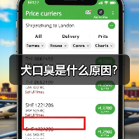 犬口臭是什么原因？(图4)