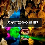 犬发绀是什么意思?(图4) 犬发绀是什么意思?(图4)