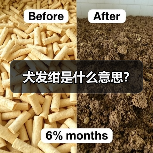 犬发绀是什么意思?(图3) 犬发绀是什么意思?(图3)