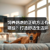饲养鹦鹉的正确方法有哪些?打造舒适生活环境与科学饮食指南(图2) 饲养鹦鹉的正确方法有哪些?打造舒适生活环境与科学饮食指南(图2)