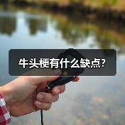 牛头梗有什么缺点?(图4) 牛头梗有什么缺点?(图4)