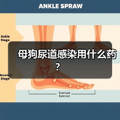 母狗尿道感染用什么药？(图2)