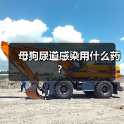 母狗尿道感染用什么药？(图1)