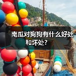 南瓜对狗狗有什么好处和坏处?(图2) 南瓜对狗狗有什么好处和坏处?(图2)
