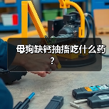 母狗缺钙抽搐吃什么药?(图2) 母狗缺钙抽搐吃什么药?(图2)