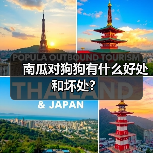 南瓜对狗狗有什么好处和坏处?(图3) 南瓜对狗狗有什么好处和坏处?(图3)