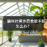 猫咪吐黄水且食欲不振怎么办?(图2) 猫咪吐黄水且食欲不振怎么办?(图2)