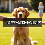 魔王松鼠有什么特征?(图4) 魔王松鼠有什么特征?(图4)