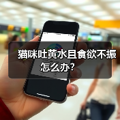猫咪吐黄水且食欲不振怎么办?(图4) 猫咪吐黄水且食欲不振怎么办?(图4)