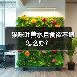 猫咪吐黄水且食欲不振怎么办?(图3) 猫咪吐黄水且食欲不振怎么办?(图3)