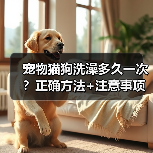 宠物猫狗洗澡多久一次?正确方法+注意事项全解析(图2) 宠物猫狗洗澡多久一次?正确方法+注意事项全解析(图2)