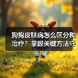 狗狗皮肤病怎么区分和治疗？掌握关键方法守护毛孩健康(图3)