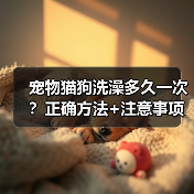 宠物猫狗洗澡多久一次?正确方法+注意事项全解析(图3) 宠物猫狗洗澡多久一次?正确方法+注意事项全解析(图3)