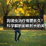 狗滴虫治疗需要多久？科学解析影响时长的关键因素(图2)