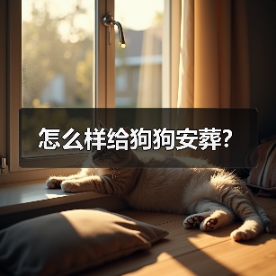 怎么样给狗狗安葬?(图4) 怎么样给狗狗安葬?(图4)