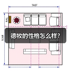 德牧的性格怎么样?(图4) 德牧的性格怎么样?(图4)