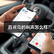 百灵鸟的叫声怎么样?(图2) 百灵鸟的叫声怎么样?(图2)