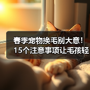春季宠物换毛别大意！15个注意事项让毛孩轻松应对换毛期(图2)