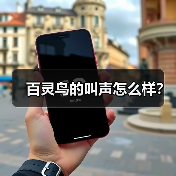 百灵鸟的叫声怎么样?(图3) 百灵鸟的叫声怎么样?(图3)