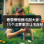 春季宠物换毛别大意！15个注意事项让毛孩轻松应对换毛期(图1)
