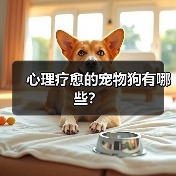 心理疗愈的宠物狗有哪些?(图1) 心理疗愈的宠物狗有哪些?(图1)