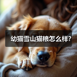 幼猫雪山猫粮怎么样？(图3)