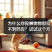 为什么你投喂宠物却得不到回应?试试这个方法(图4) 为什么你投喂宠物却得不到回应?试试这个方法(图2)