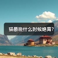 猫最晚什么时候绝育?(图4) 猫最晚什么时候绝育?(图3)