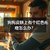狗狗皮肤上有个红色疙瘩怎么办?(图2) 狗狗皮肤上有个红色疙瘩怎么办?(图2)