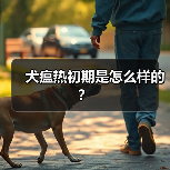犬瘟热初期是怎么样的?(图2) 犬瘟热初期是怎么样的?(图2)