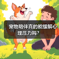 宠物陪伴真的能缓解心理压力吗?(图1) 宠物陪伴真的能缓解心理压力吗?(图1)
