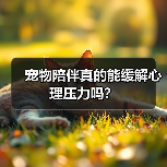 宠物陪伴真的能缓解心理压力吗?(图2) 宠物陪伴真的能缓解心理压力吗?(图2)