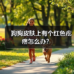 狗狗皮肤上有个红色疙瘩怎么办?(图4) 狗狗皮肤上有个红色疙瘩怎么办?(图4)