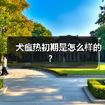 犬瘟热初期是怎么样的?(图3) 犬瘟热初期是怎么样的?(图3)