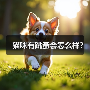 猫咪有跳蚤会怎么样?(图2) 猫咪有跳蚤会怎么样?(图2)