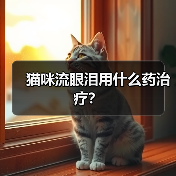 猫咪流眼泪用什么药治疗?(图2) 猫咪流眼泪用什么药治疗?(图2)