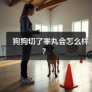狗狗切了睾丸会怎么样?(图2) 狗狗切了睾丸会怎么样?(图2)
