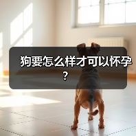 狗要怎么样才可以怀孕?(图2) 狗要怎么样才可以怀孕?(图2)