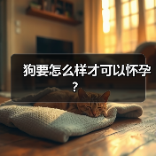 狗要怎么样才可以怀孕?(图1) 狗要怎么样才可以怀孕?(图1)