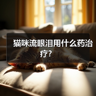 猫咪流眼泪用什么药治疗?(图1) 猫咪流眼泪用什么药治疗?(图1)