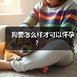 狗要怎么样才可以怀孕?(图4) 狗要怎么样才可以怀孕?(图4)