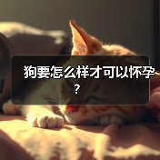 狗要怎么样才可以怀孕?(图3) 狗要怎么样才可以怀孕?(图3)