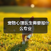 宠物心理医生需要报什么专业(图4) 宠物心理医生需要报什么专业(图3)